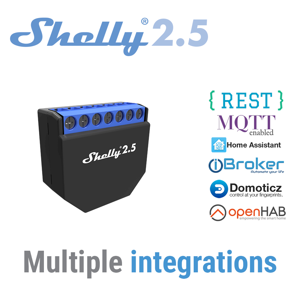 Shelly 2.5 Smart Home Dubbele  - Shelly Relay Module recensie en prijs